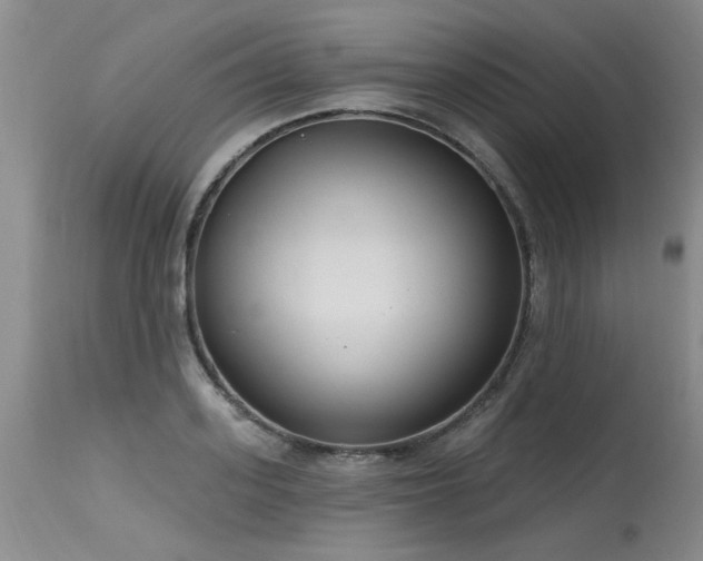 X0000115630939200911101435