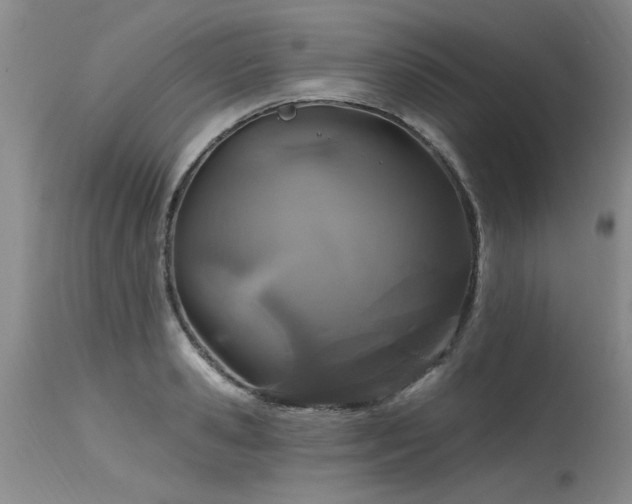 X0000115630941200911101435