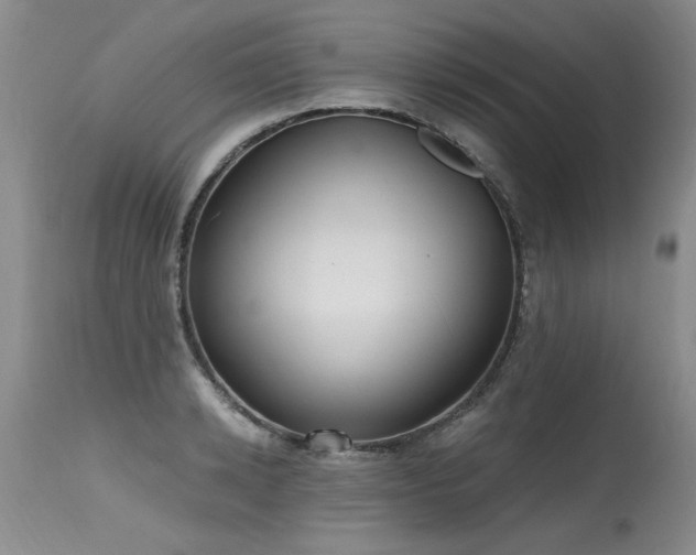 X0000115630942200911101435