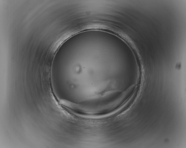 X0000115630945200911101435