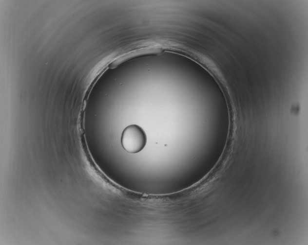 X0000115630946200911101435