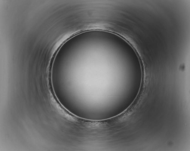 X0000115630949200911101435