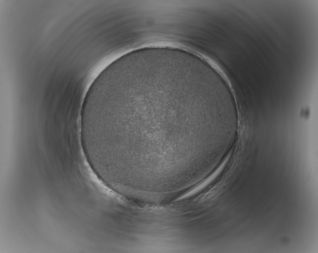 X0000115630951200911101435