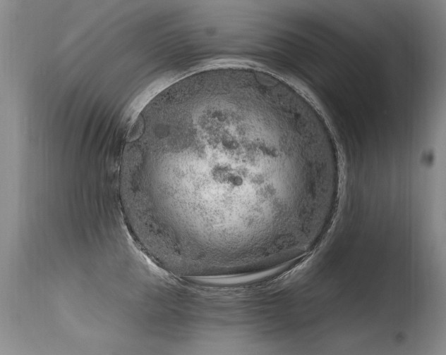 X0000115630953200911101435