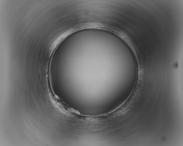 X0000115630954200911101435