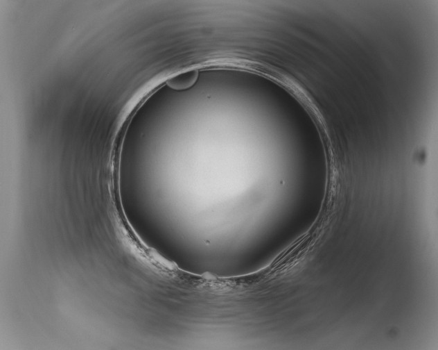 X0000115630955200911101435