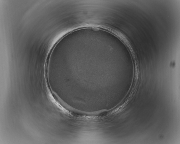 X0000115630958200911101435