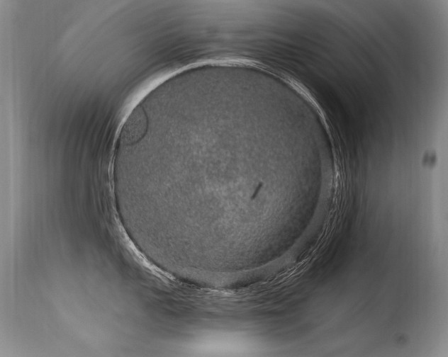 X0000115630959200911101435