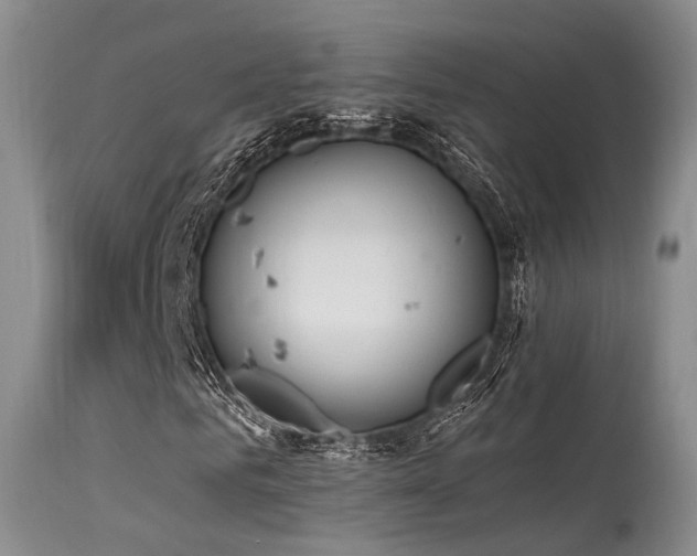 X0000115630961200911101434