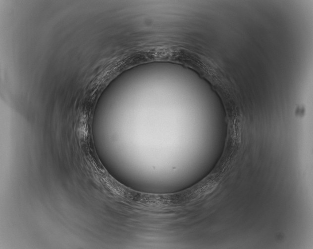 X0000115630962200911101434