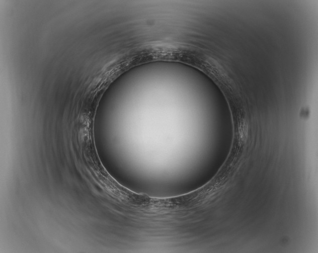 X0000115630964200911101434