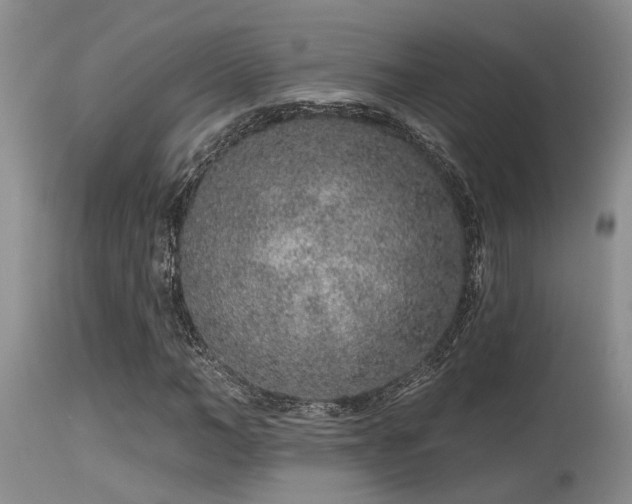 X0000115630966200911101434