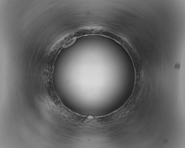 X0000115630967200911101434