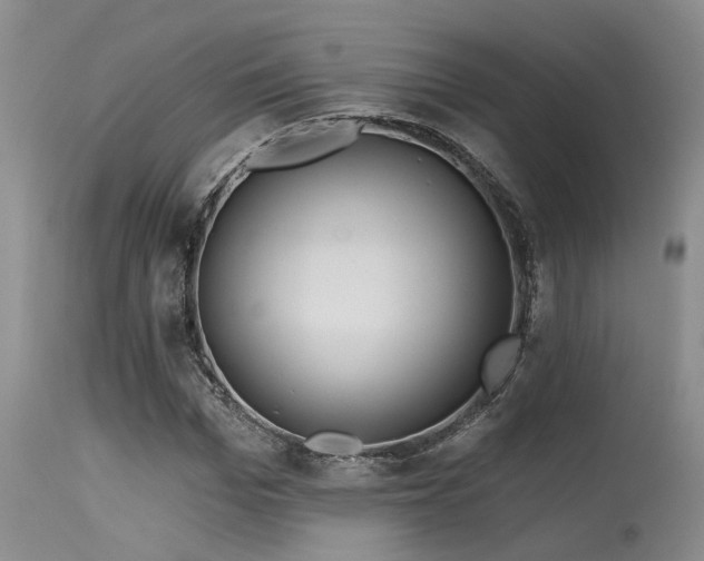 X0000115630969200911101434