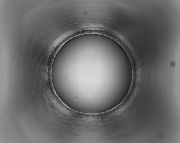 X0000115630970200911101434
