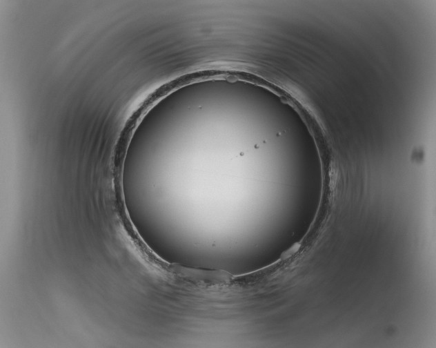 X0000115630972200911101434