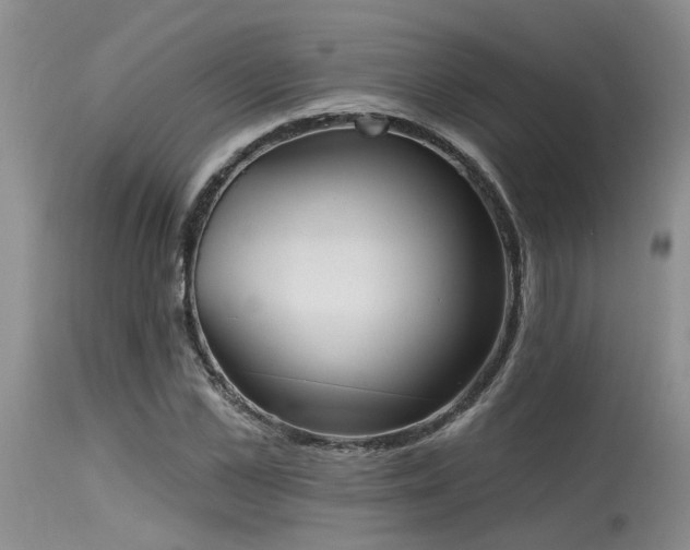 X0000115630973200911101434