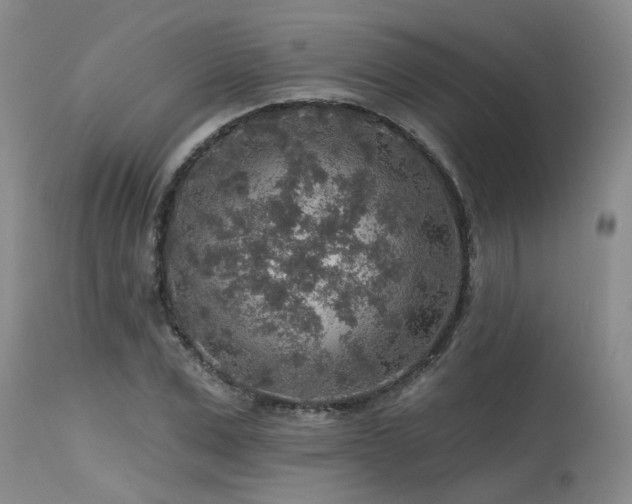 X0000115630975200911101434