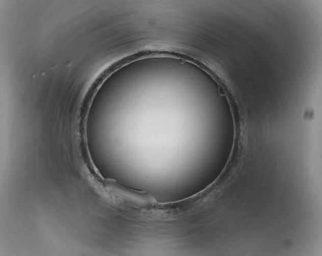 X0000115630976200911101434