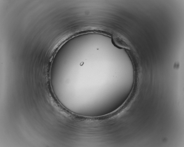 X0000115630977200911101434