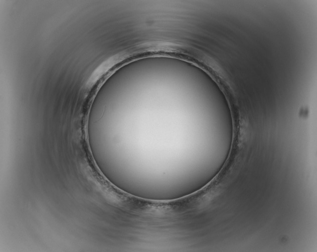 X0000115630978200911101434