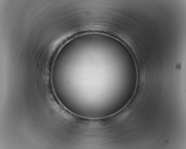 X0000115630979200911101434
