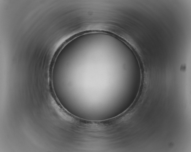X0000115630980200911101434