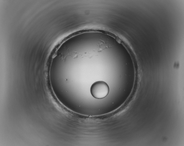 X0000115630981200911101434