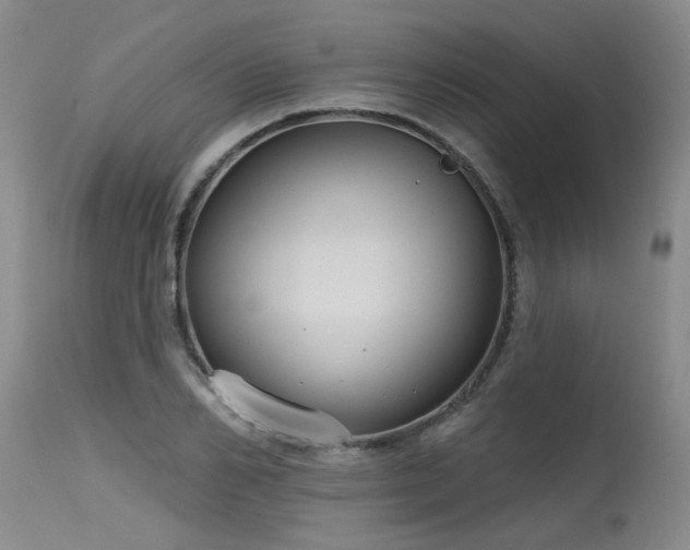 X0000115630982200911101434