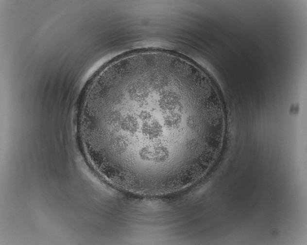 X0000115630983200911101434