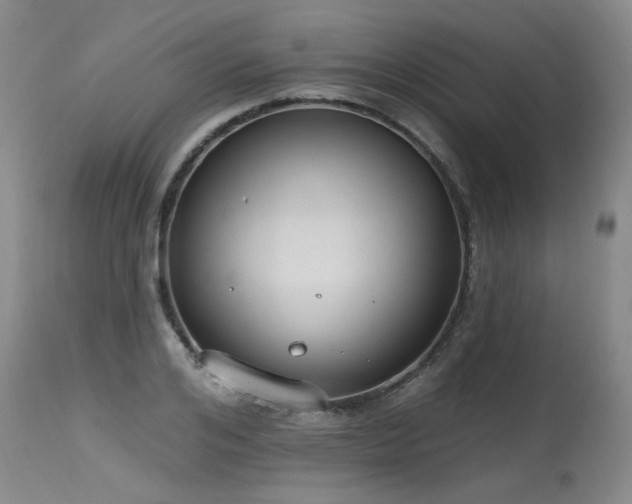 X0000115630984200911101434
