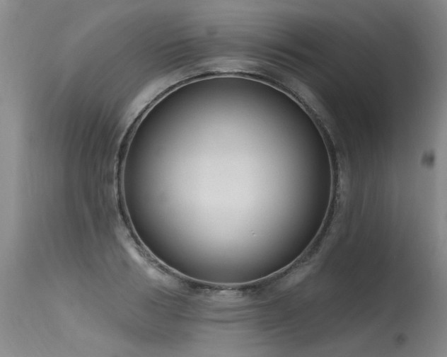X0000115630986200911101434