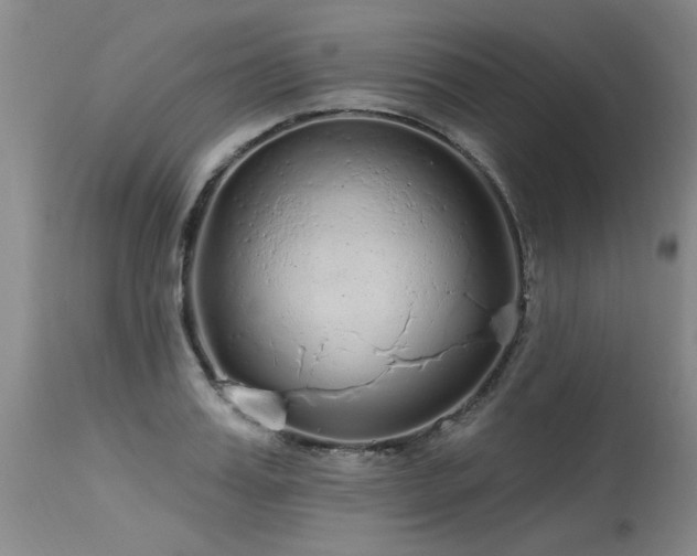 X0000115630987200911101434