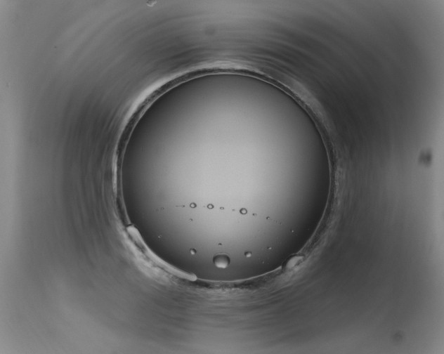 X0000115630988200911101433