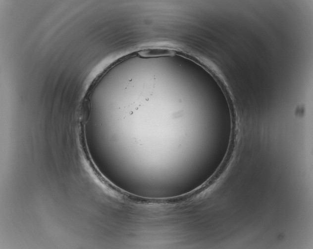 X0000115630989200911101433