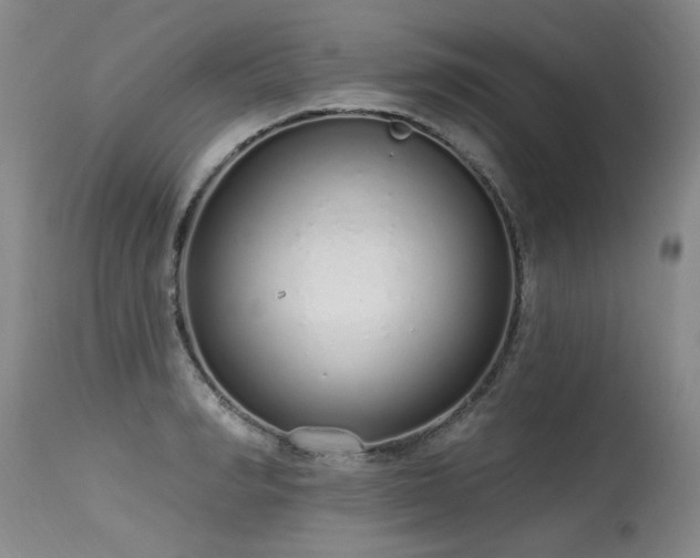 X0000115630990200911101433