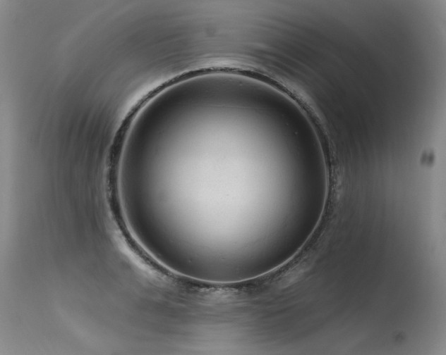 X0000115630991200911101433