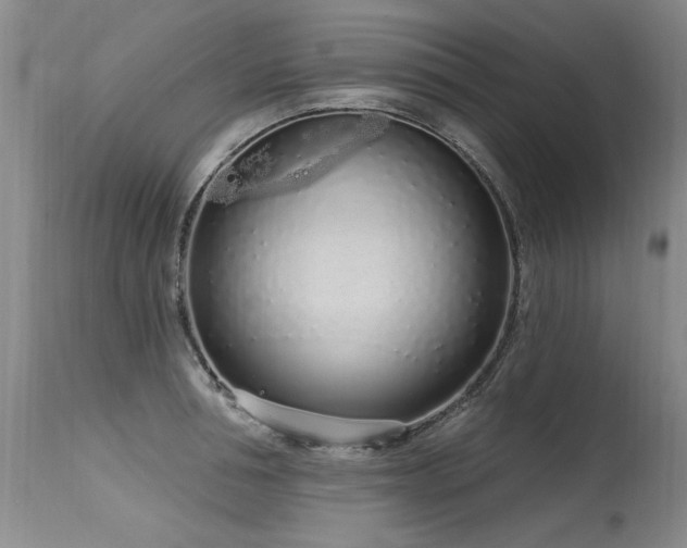 X0000115630994200911101433
