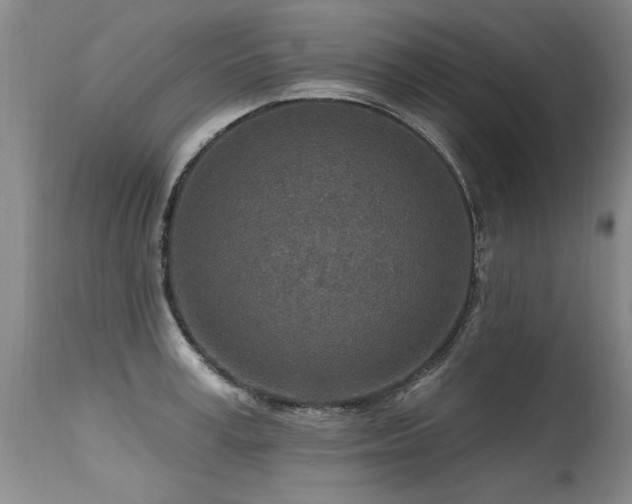 X0000115630995200911101433