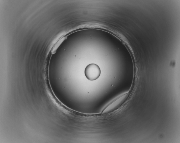 X0000115630997200911101433