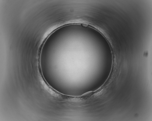 X0000115630998200911101433