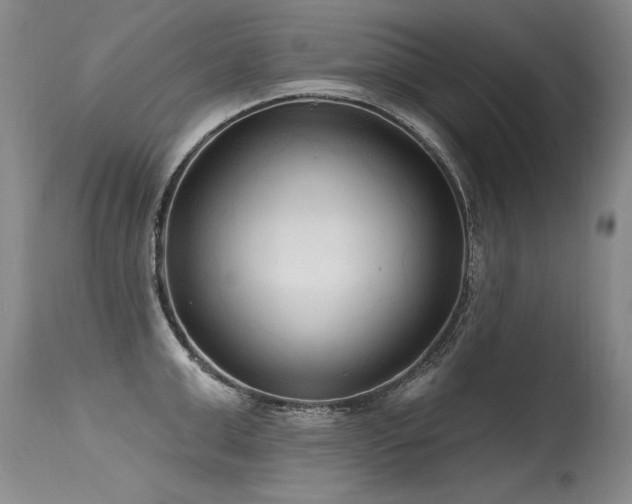 X0000115630999200911101433