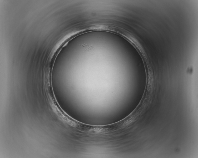 X0000115631000200911101433