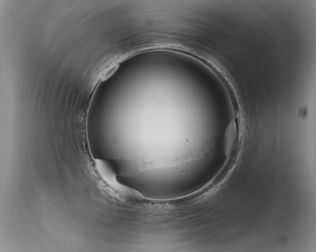 X0000115631001200911101433