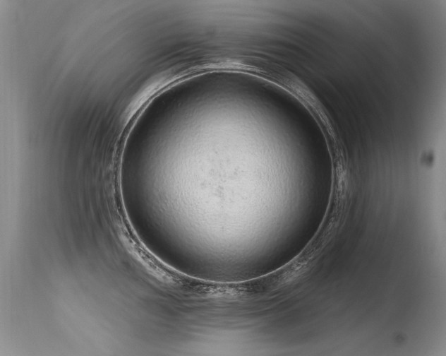 X0000115631002200911101433