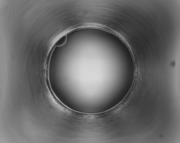 X0000115631003200911101433