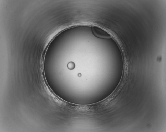 X0000115631006200911101433