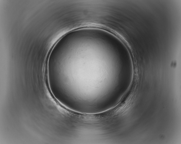X0000115631007200911101433