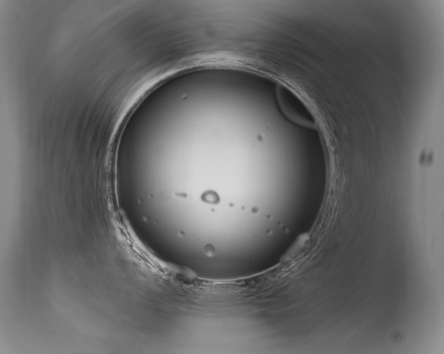 X0000115631008200911101433