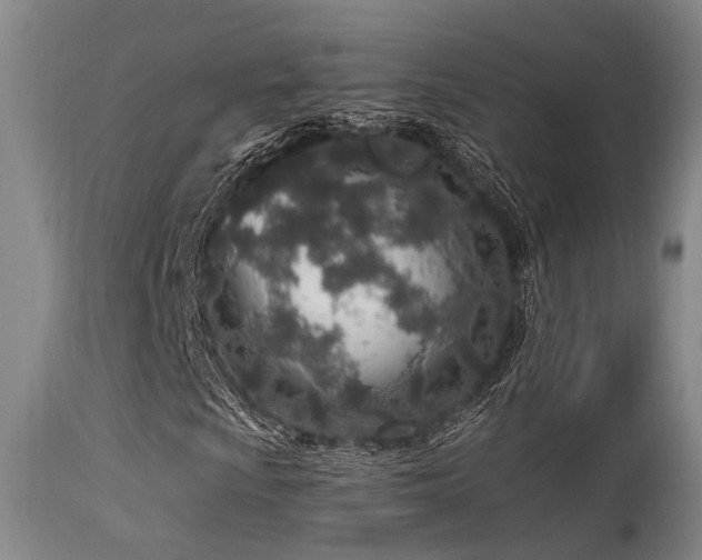 X0000115631009200911101433